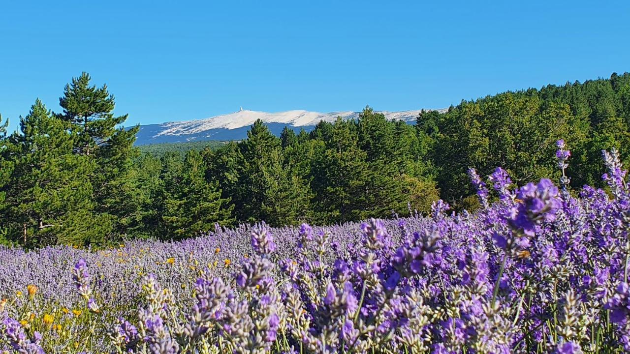 A Ventoux Yourte Monieux Exteriör bild