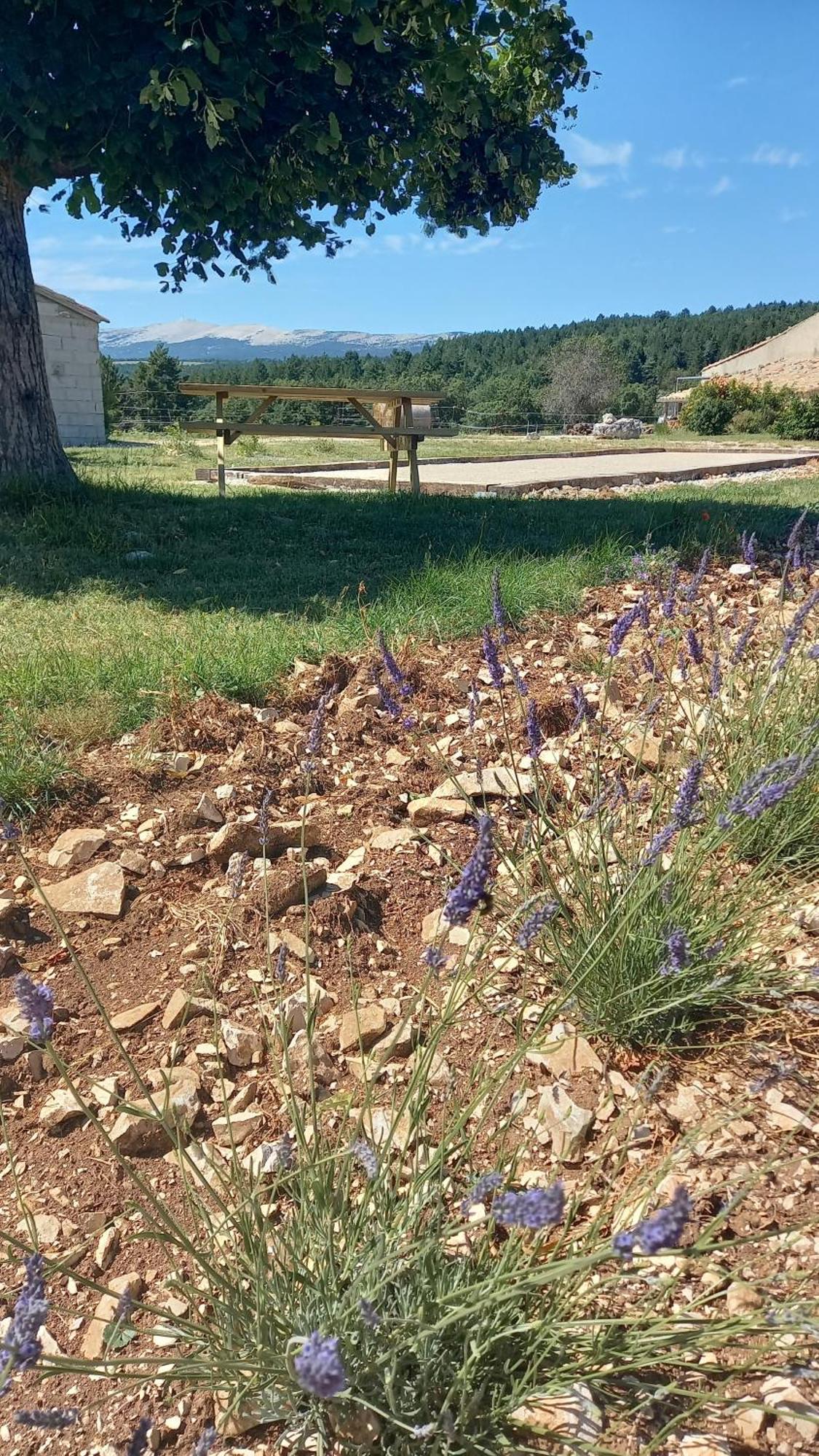 A Ventoux Yourte Monieux Exteriör bild