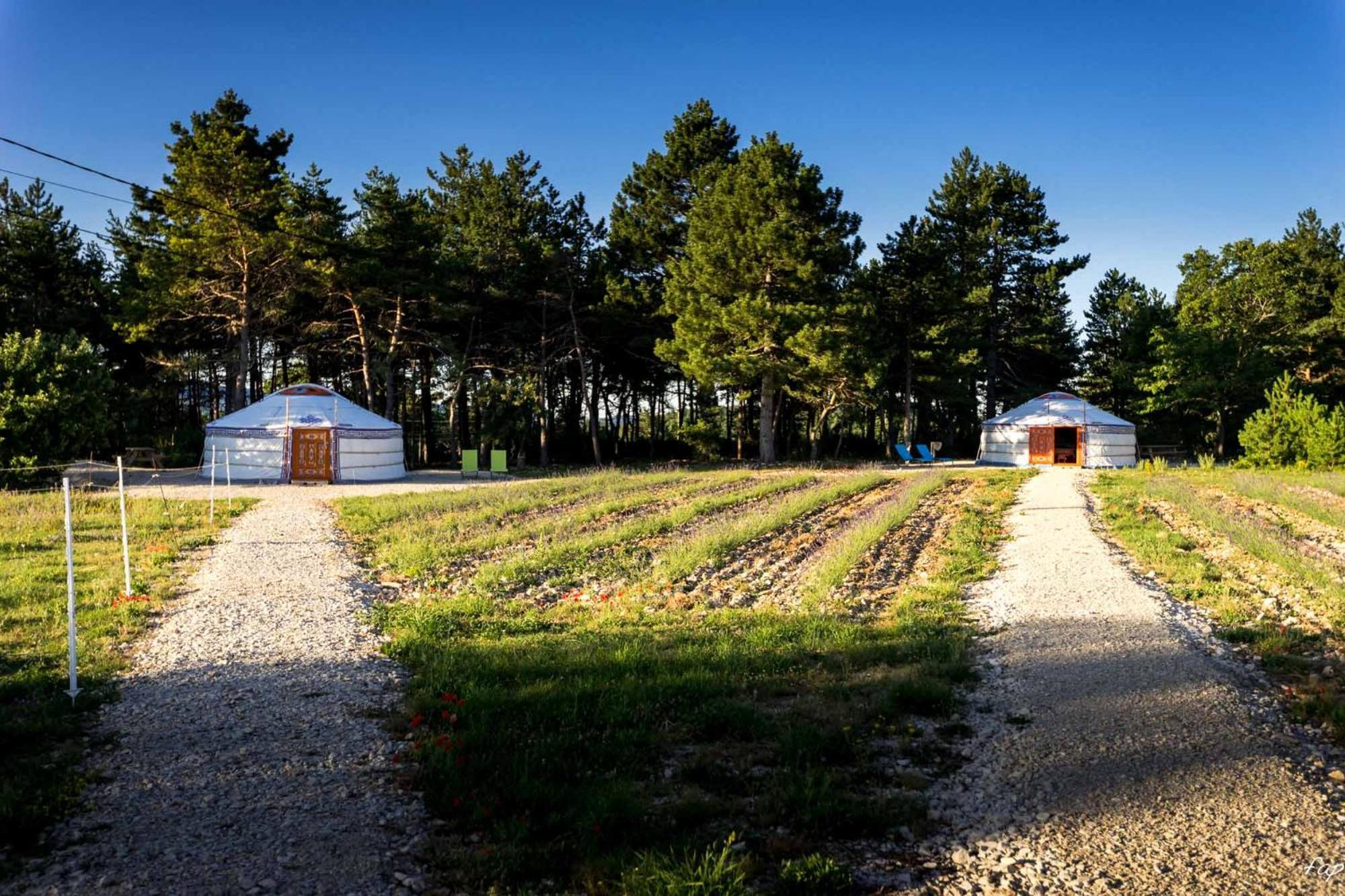 A Ventoux Yourte Monieux Exteriör bild